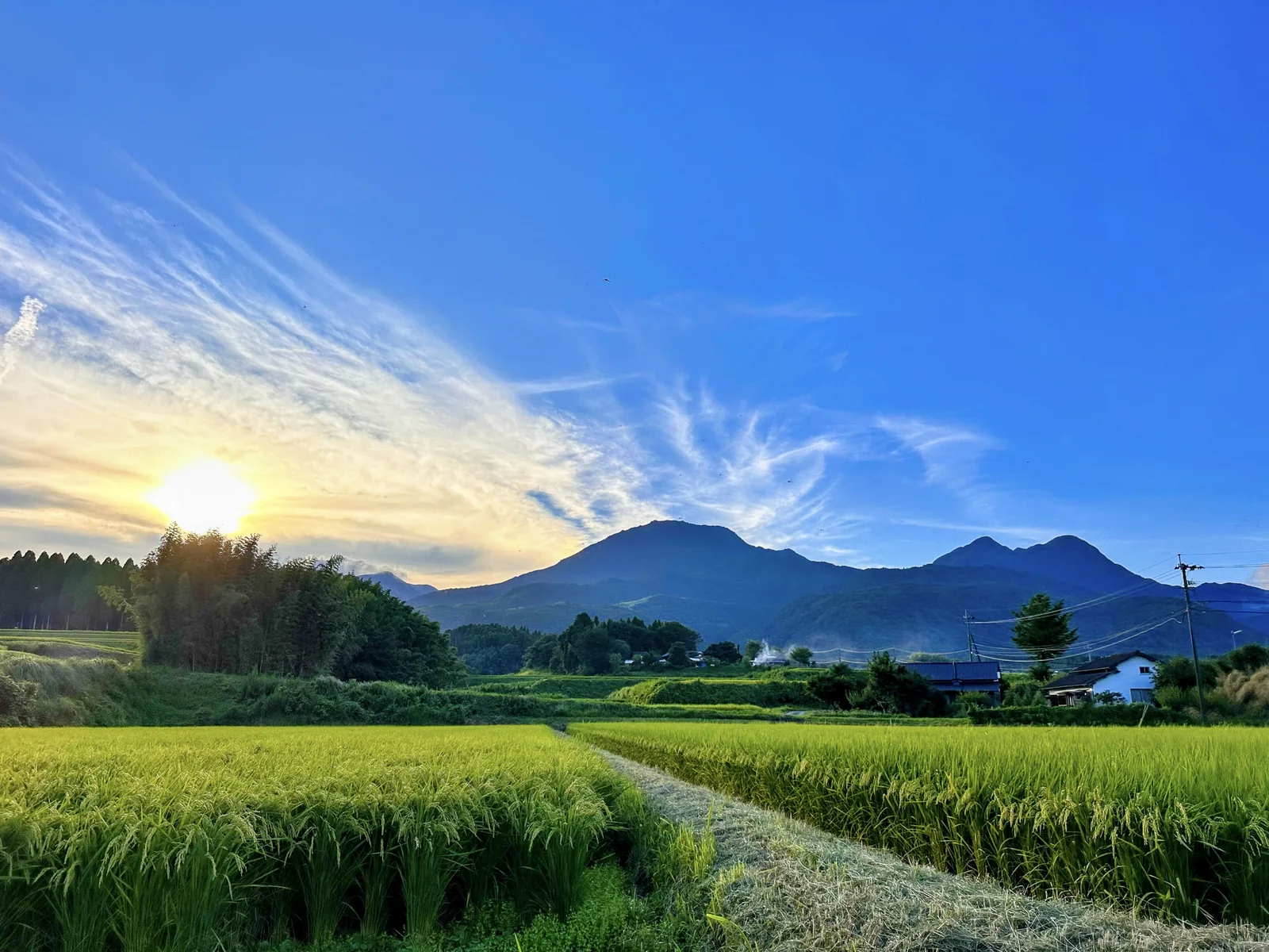 田んぼの向こうに見える山並みと夕空